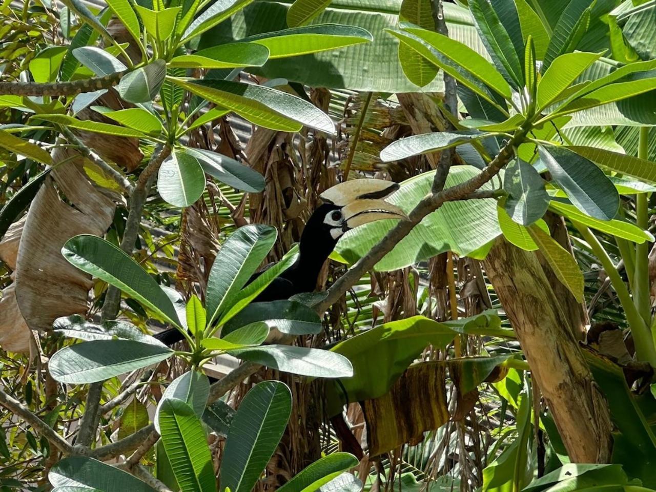 Chun Chom - Baan Lom Suay Villa Ko Yao Noi Dış mekan fotoğraf